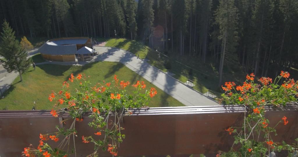 Отель Hotel Pestera Cota 1610 Синая